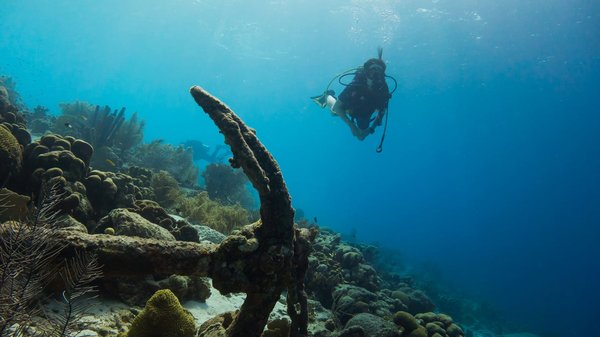 Comment planifier une expédition de plongée sous-marine dans les Caraïbes ?